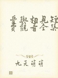 爱与相见短剧免费观看全集高清版封面