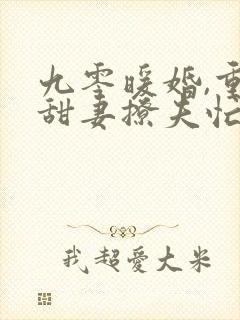 九零暖婚,重生甜妻撩夫忙