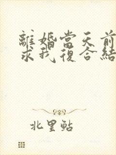 离婚当天前夫跪求我复合结局