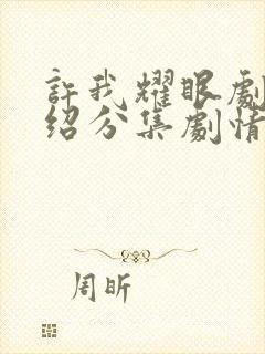 许我耀眼剧情介绍分集剧情介绍封面