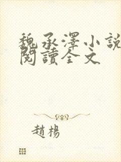 魏承泽小说免费阅读全文