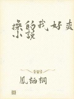 操的我好爽哥哥小说