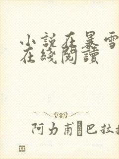 小说在暴雪时分在线阅读
