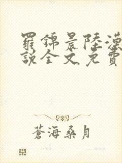 罗锦晨陆漠原小说全文免费阅读最新