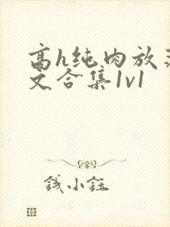 高h纯肉放荡h文合集1v1