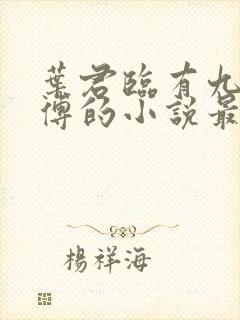 叶君临有九个师傅的小说最新章节