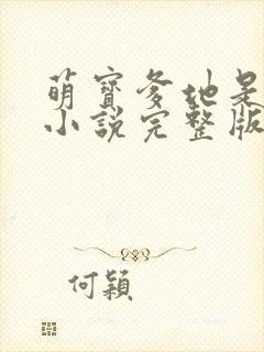 萌宝爹地是总裁小说完整版大结局封面