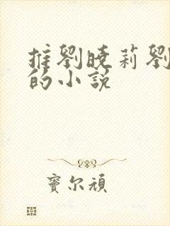 推刘晓莉刘亦菲的小说封面