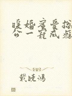 暖婚蜜爱总裁老公一宠成瘾