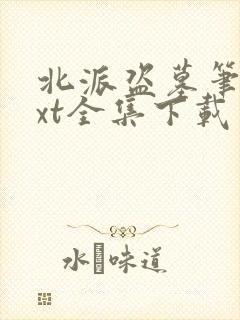 北派盗墓笔记txt全集下载完本免费封面