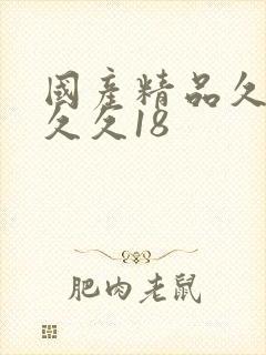 国产精品久久久久久18