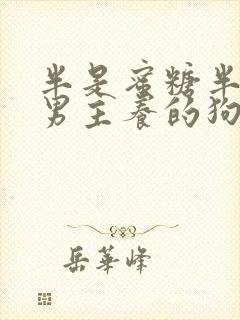 半是蜜糖半是伤男主养的狗