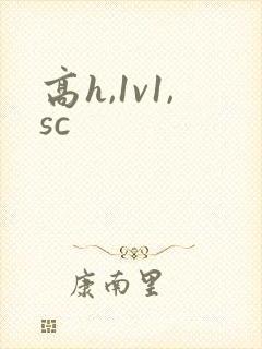 高h,1v1,sc