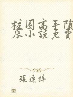 校园高手陨落星辰小说免费