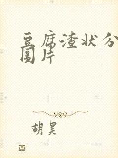 豆腐渣状分泌物图片