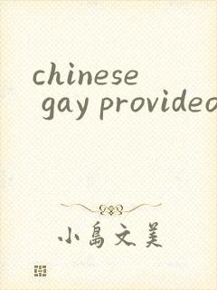 chinese gay provideos