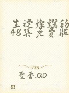 生逢灿烂的日子48集免费版