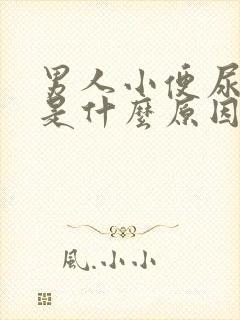 男人小便尿开叉是什么原因封面