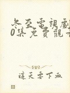 冬至电视剧全40集免费观看封面