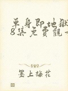 单身即地狱5第8集免费观看电视剧全集