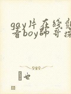 gay片在线观看boy帅哥操封面