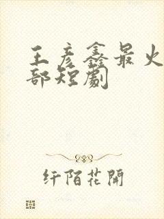 王彦鑫最火的十部短剧