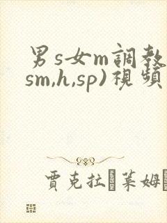 男s女m调教(sm,h,sp)视频封面