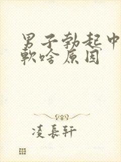 男子勃起中途变软啥原因