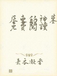 辰东的神墓小说免费阅读