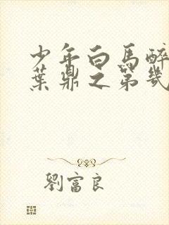 少年白马醉春风叶鼎之第几集下线