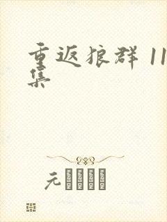 重返狼群 11集封面