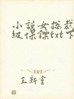 小说女总裁的神级保镖txt下载