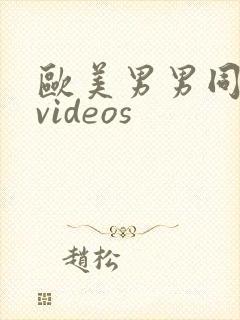 欧美男男同性恋videos