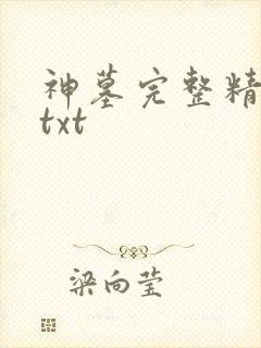 神墓完整精校版txt