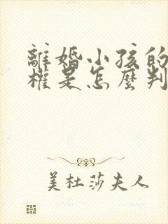 离婚小孩的抚养权是怎么判定的