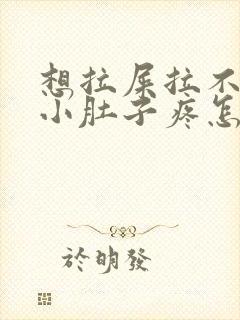 想拉屎拉不出来小肚子疼怎么回事封面