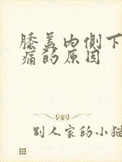 膝盖内侧下方疼痛的原因