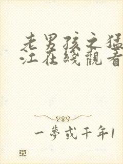 老男孩之猛龙过江在线观看版高清