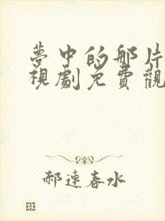 梦中的那片海电视剧免费观看星辰