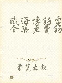 藏海传的电视剧全集免费的封面