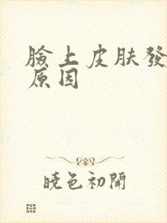 脸上皮肤发黄的原因