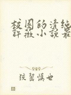 校园的清纯校花许薇小说最新章节列封面