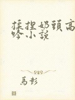 揉捏奶头高潮呻吟小说封面