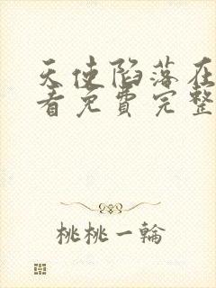 天使陷落在线观看免费完整版