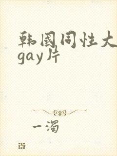 韩国同性大尺度gay片