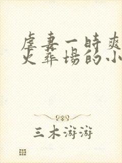 虐妻一时爽追妻火葬场的小说