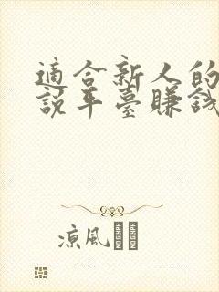 适合新人的写小说平台赚钱