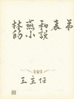 林燕和表弟李明的小说