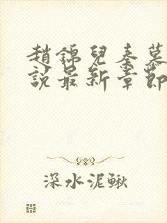 赵锦儿秦慕修小说最新章节阅读封面