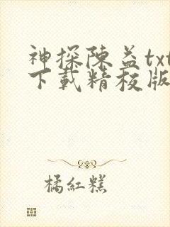 神探陈益txt下载精校版